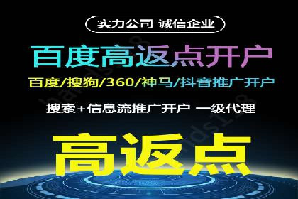 百度广告投放策略优化的经典案例